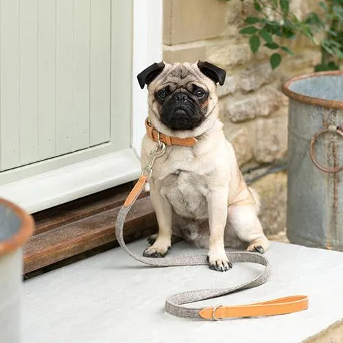 Camello Leather & Grey Tweed Dog Collar