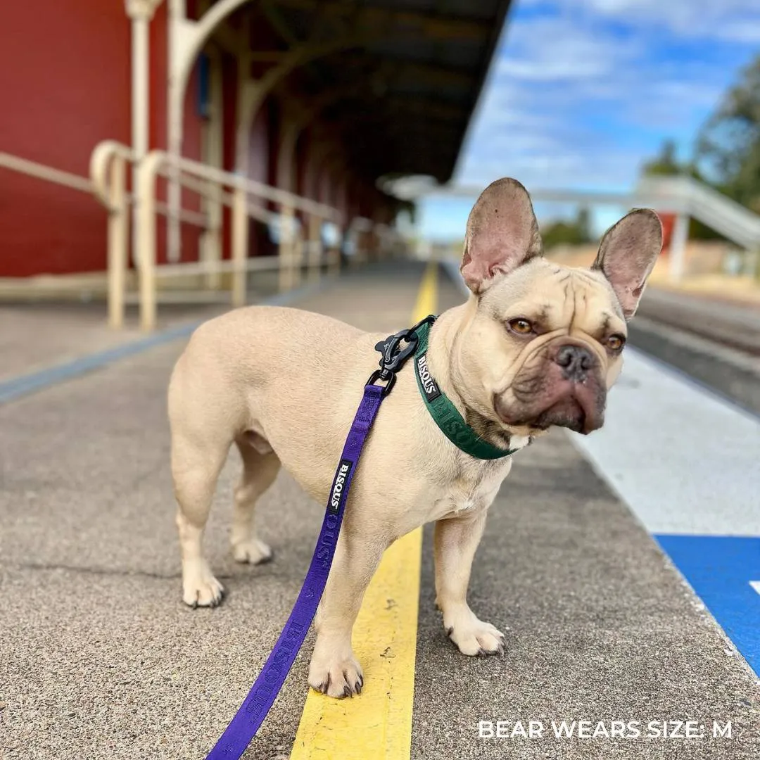 Classic Dog Collar | Green