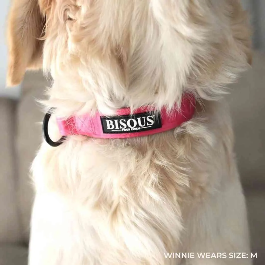 Classic Dog Collar | Pink