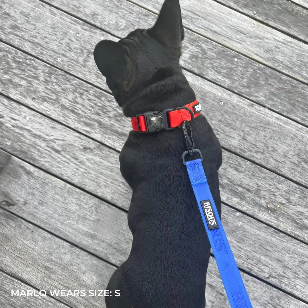 Classic Dog Collar | Red