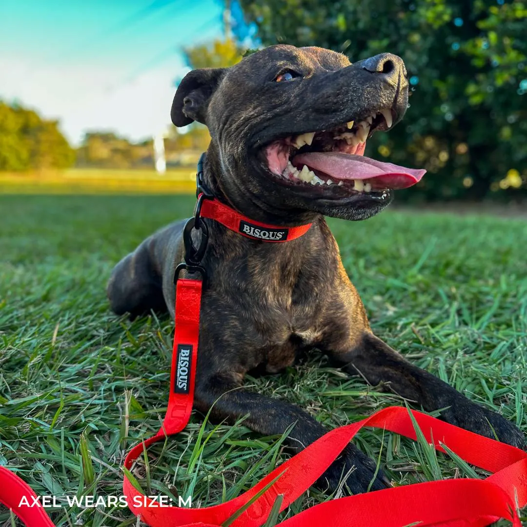 Classic Dog Collar | Red