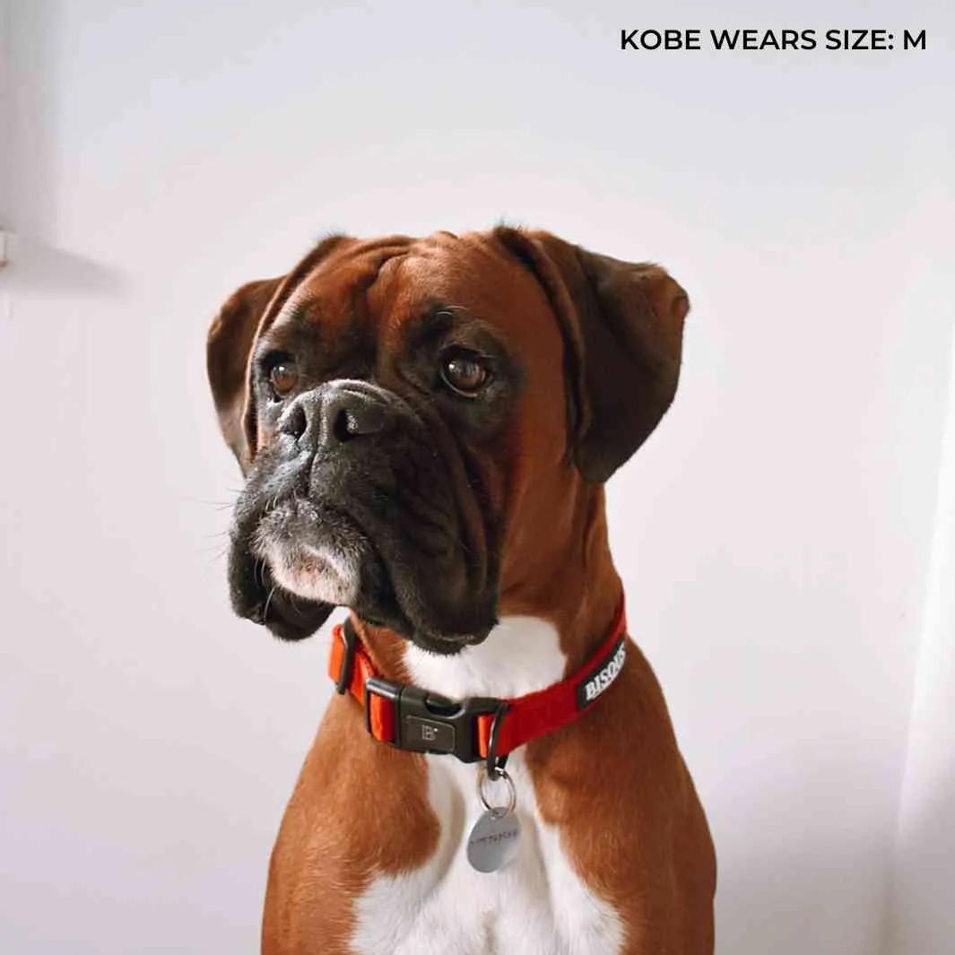 Classic Dog Collar | Red