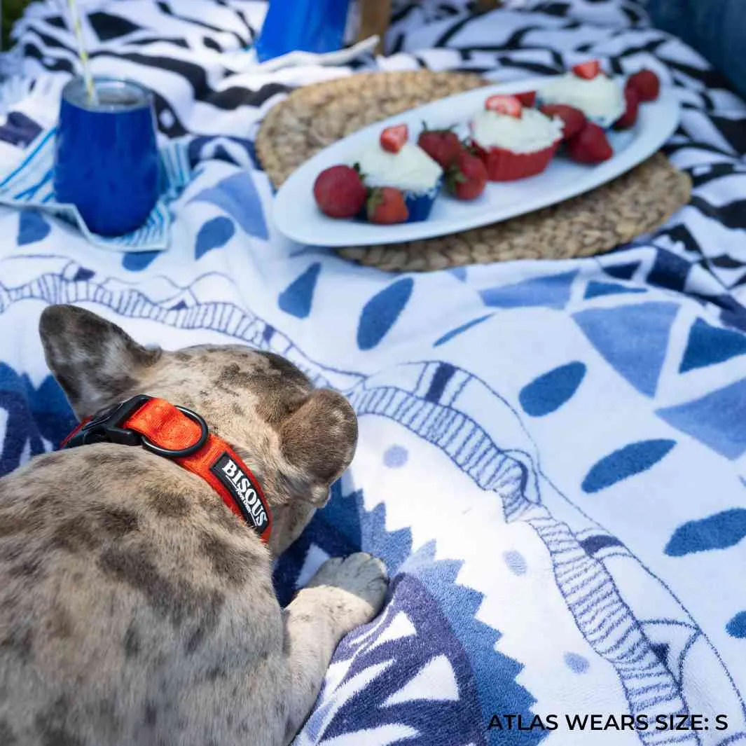 Classic Dog Collar | Red