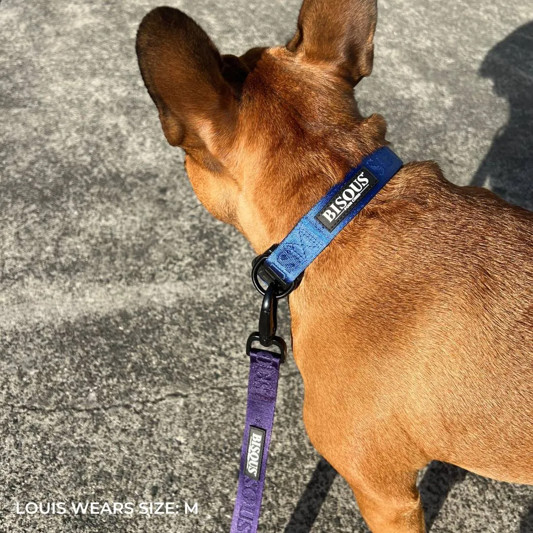 Classic Dog Collar | Royal Blue