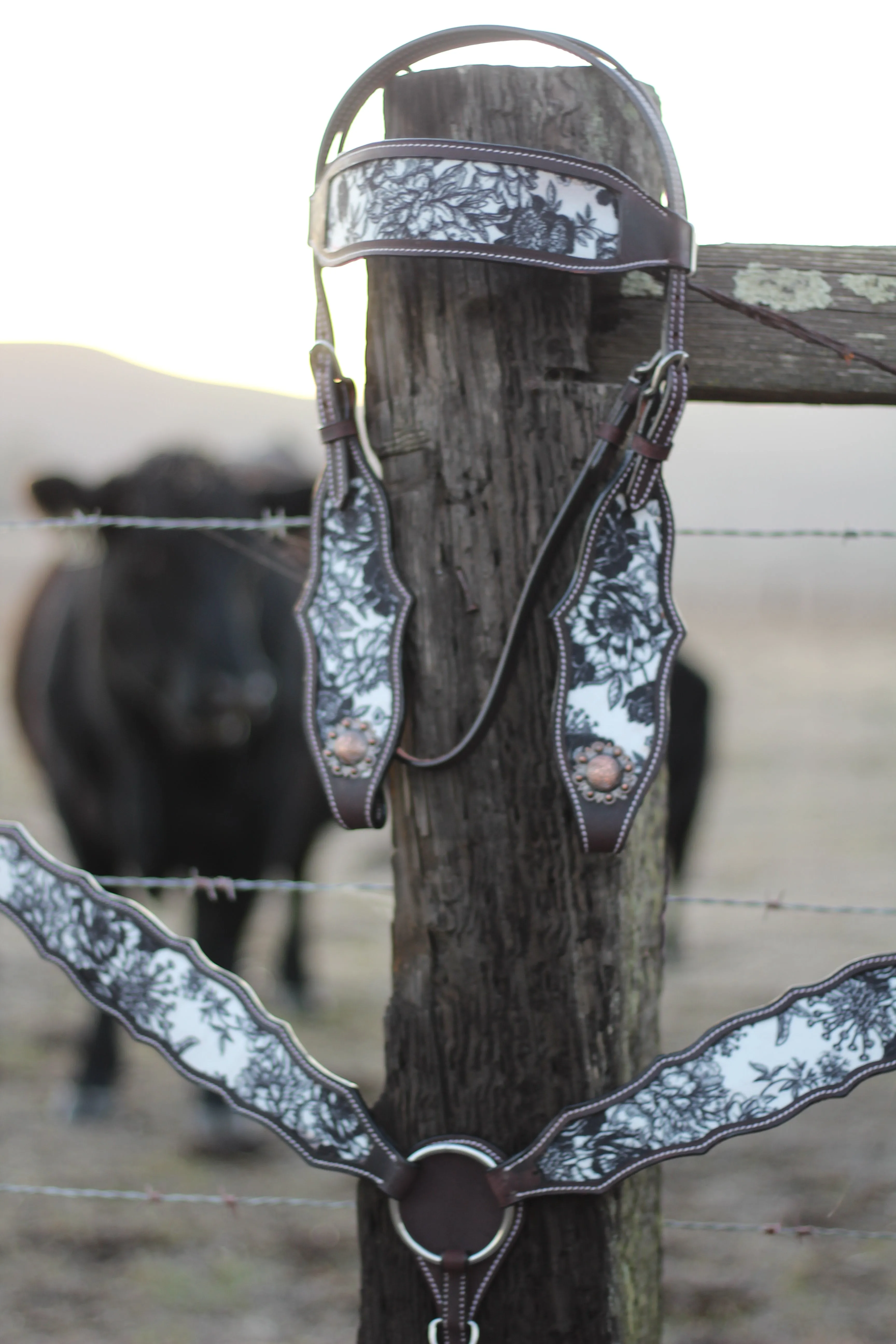 Cowgirl Cash Headstall Set