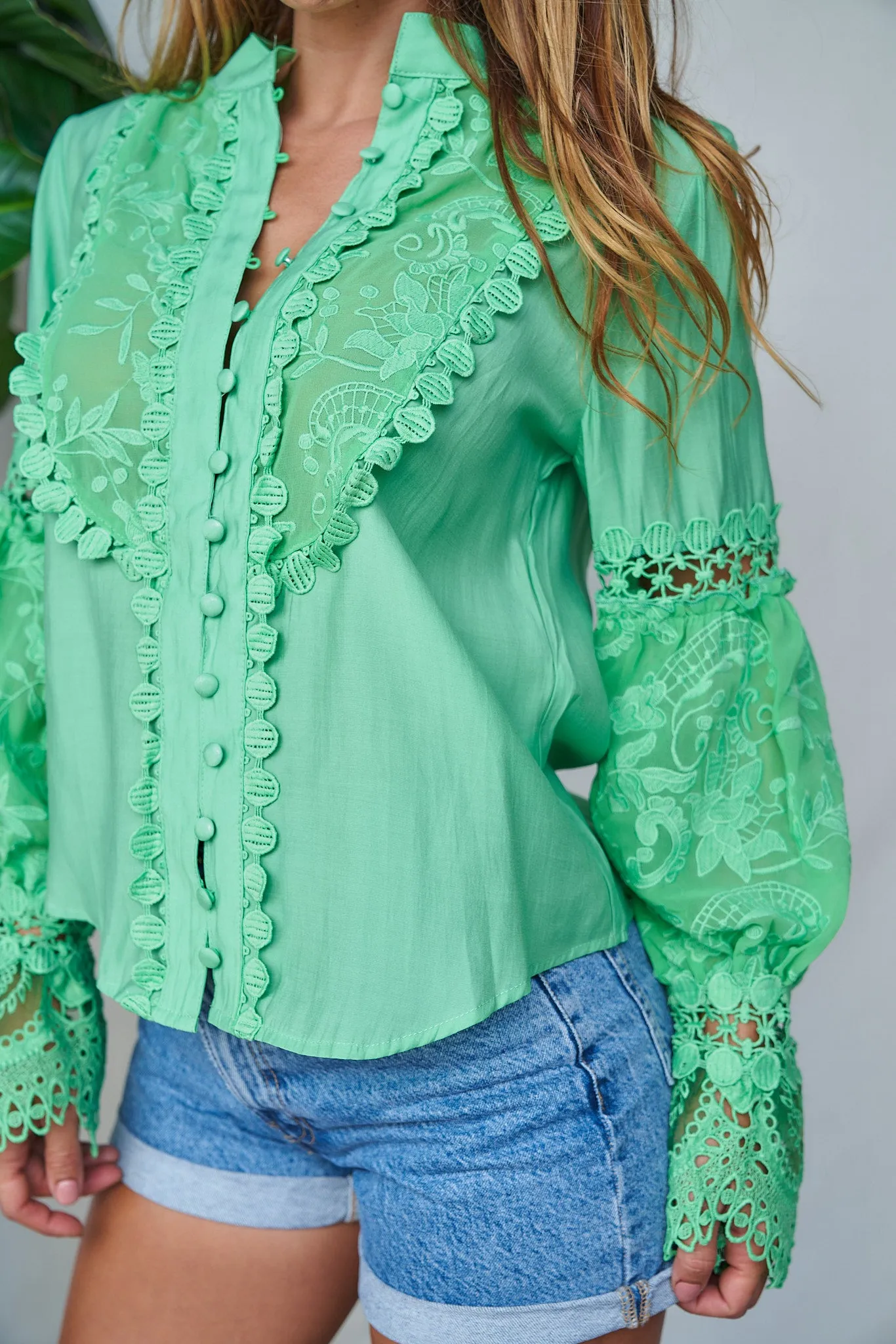 Elegant Collar Lace Blouse