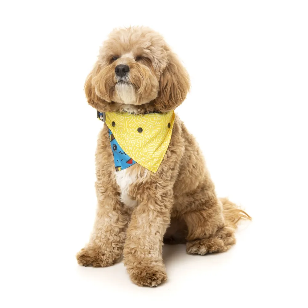 FuzzYard Pet Bandana (Kings of Gold School)