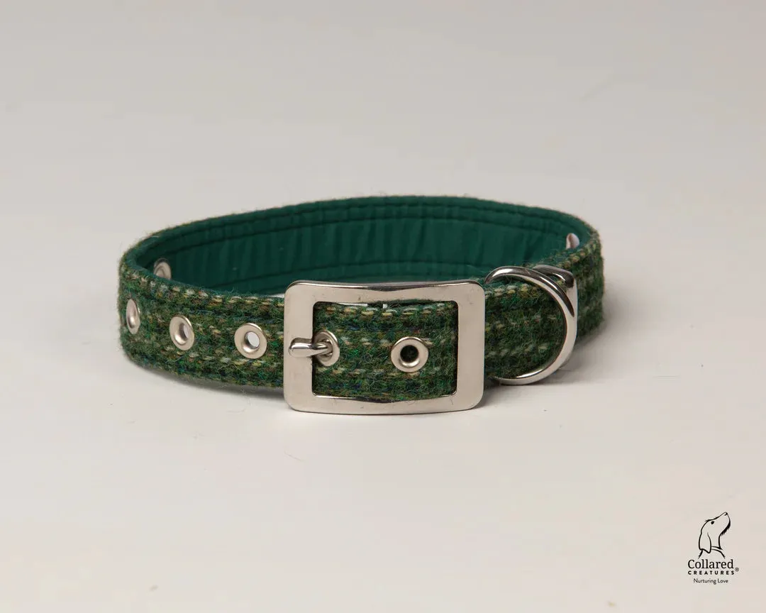 Harris Tweed Dashes of Green Buckle Dog Collar