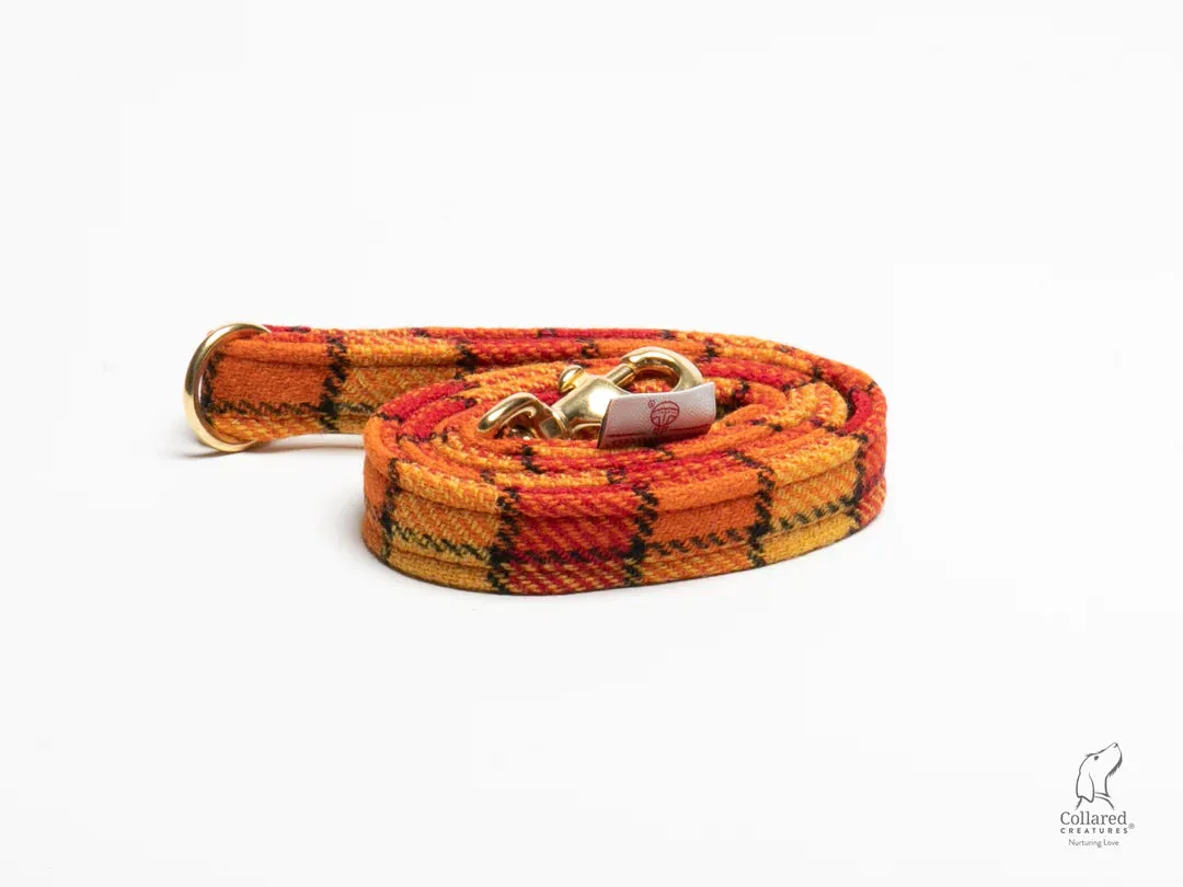 Harris Tweed Sunset Check Buckle Dog Collar