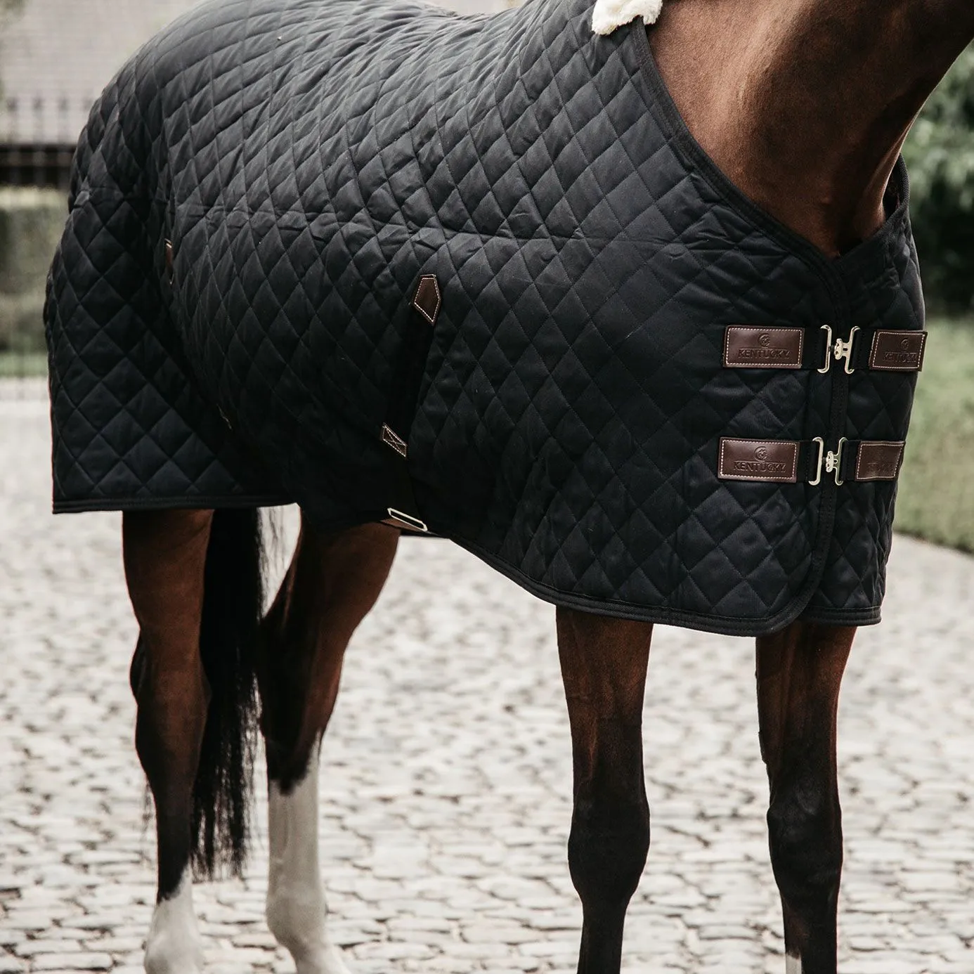 Kentucky Horsewear Stable Rug 400g - Black