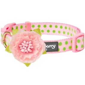 Soft Touch Dotted Velvet Dog Collar